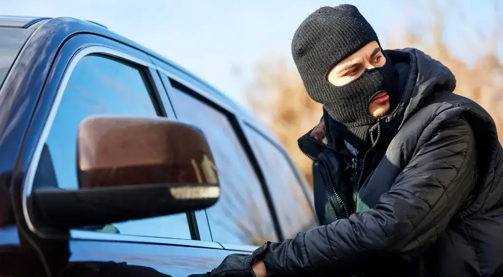 Como consultar se um carro tem sinistro